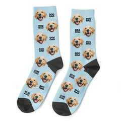 Personalized Dog Socks With Text