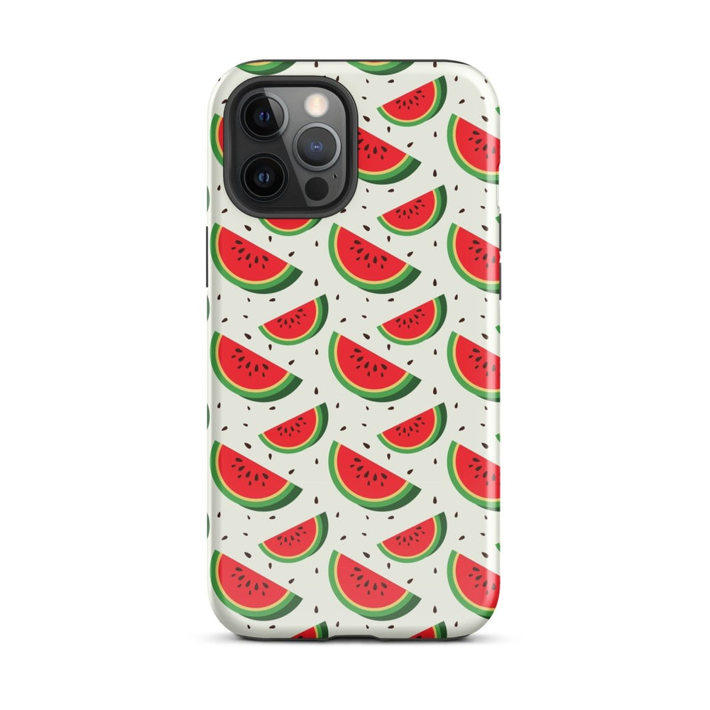 Walermelon Slices iPhone Case