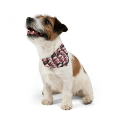 Crazy Faces Pet Bandana Collar