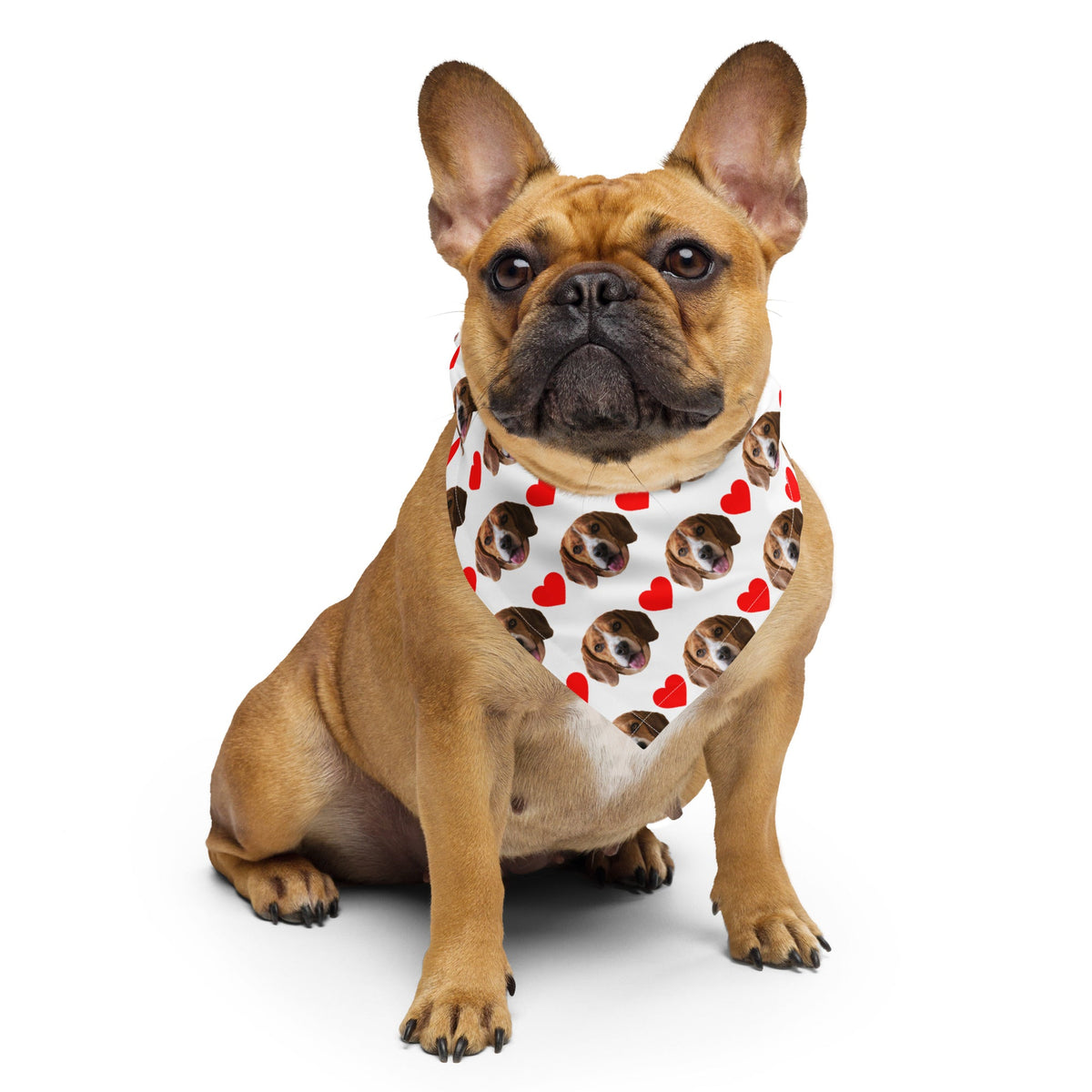 Custom Dog Face Bandana With Hearts