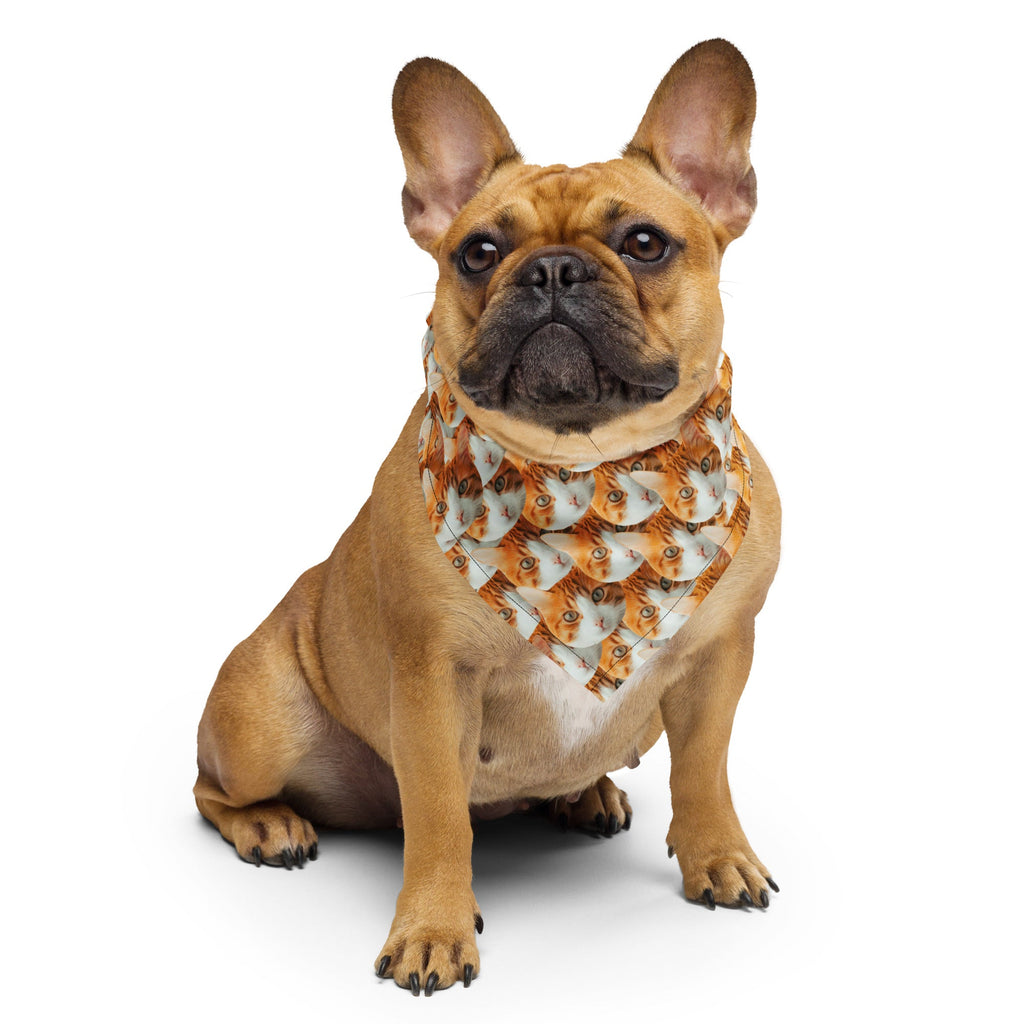 Custom Cat Faces Bandana