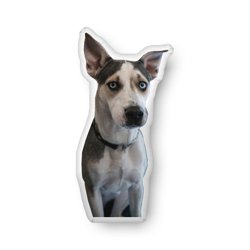 Custom Pet Shaped Pillow