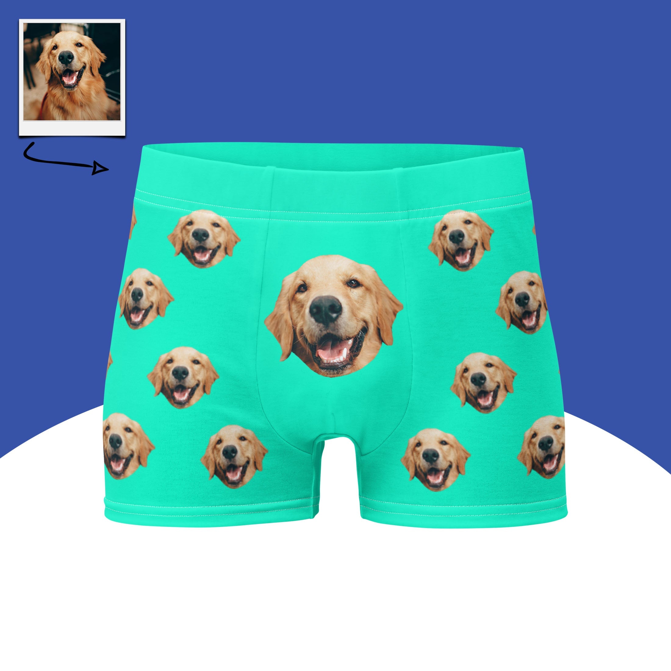 Dog Face Boxers Main image