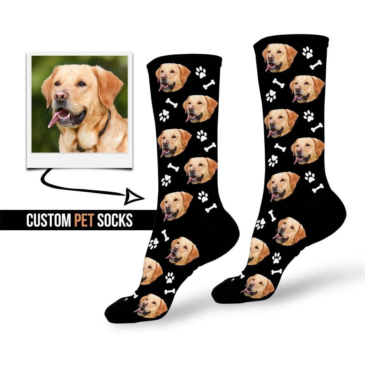 Custom Pet Socks Main image